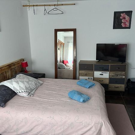 Proprietaire Prive Bed & Breakfast Carcassonne Exterior foto